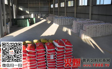 浠水县重视饲料工业发展,建设畜牧强县