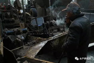 水产养殖的隐忧 快速扩张下的渔业资源枯竭与产业转型